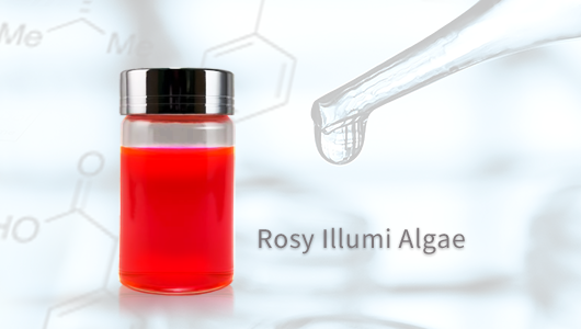【RIA-556】Rose pink algae(圖)